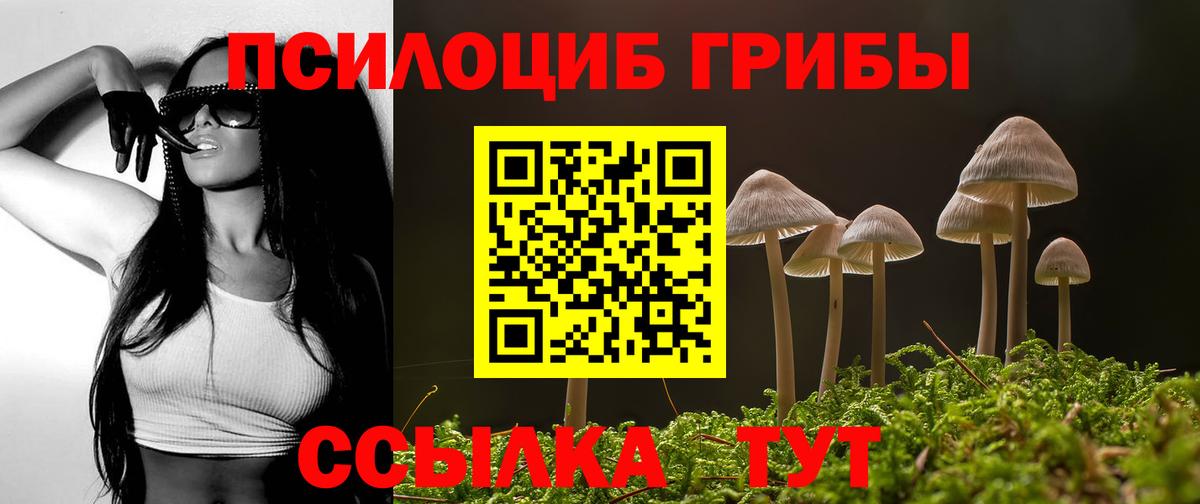 Псилоцибиновые грибы Psilocybine cubensis Гусь-Хрустальный