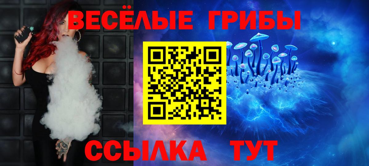 Гусь-Хрустальный  Псилоцибиновые грибы прущие грибы  Галлюциногенные грибы прущие грибы  Вход с VPN 